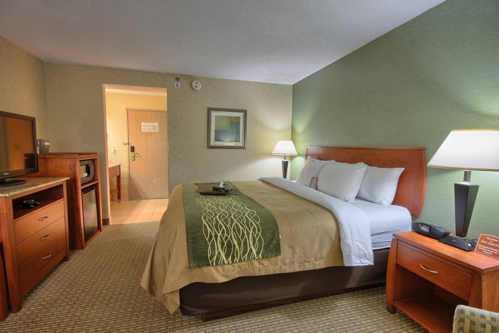 Comfort Inn Near Greenfield Village Dearborn Ngoại thất bức ảnh